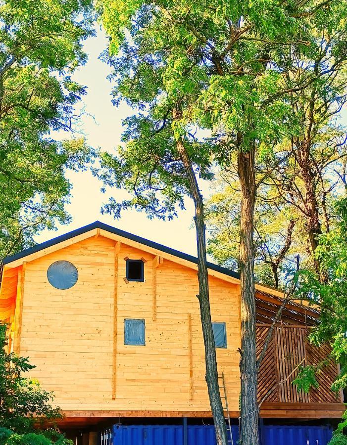 Des Branches & Vous Bed & Breakfast 3*
