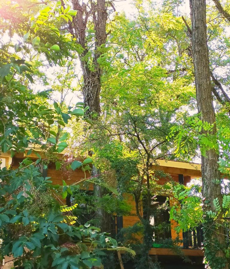 Des Branches & Vous Bed & Breakfast
