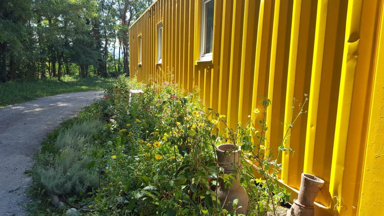 Des Branches & Vous Chateauneuf-sur-Isere